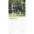 thumbnail image 6 of Schnauzers 2025 12 X 24 Inch Monthly Square Wall Calendar Plastic-Free, (Paperback), 6 of 9