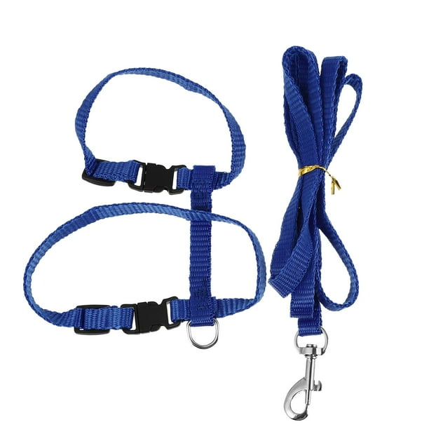 Conjunto de correa y arnés para gatos para pasear. Combinación duradera de correa y arnés para el pecho, ideal para aventuras al aire libre. Descripción