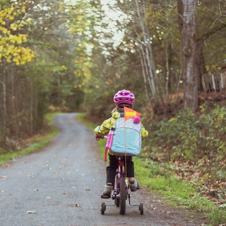 HOMEMAXS 1 Set of Bicycle Safety Flag High Visibility Bike Safety Flag with Pole for Cycling