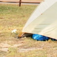 thumbnail image 2 of FESTFENDS 8Pcs Canopy Awning Tent Clip Grey High Grade Material Simple Design, 2 of 8