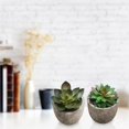 thumbnail image 2 of Kearding 6 UNIDS Mini Plantas Suculentas Artificiales Falsas Plantas Artificiales Adornos de Escritorio de Simulación Durable Realista para Sala de Estar Decoración del hogar Kearding HA035469-00, 2 of 6