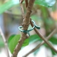 thumbnail image 4 of Clips de seguridad para trepar Nuevos clips para tomates Clips de soporte Clips para fijar uvas y verduras Clips para jardín Clips para flores y orquídeas para soporte, 4 of 4