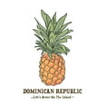 thumbnail image 4 of Dominican Republic, Pineapple, Icon (Cotton Canvas Apron, Kitchen Cooking, Baking, Grilling, Unisex with Pockets), 4 of 5