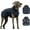 Blue, variant on HQREA Greyhound Dog Coat Thick Hoodie Whippet Large Dog Winter Jacket Vest with Hook&Loop Buckle