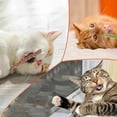 thumbnail image 3 of Natural Cat Chew Toy, Catnip, Kitten Teeth Cleaner, 3 of 3