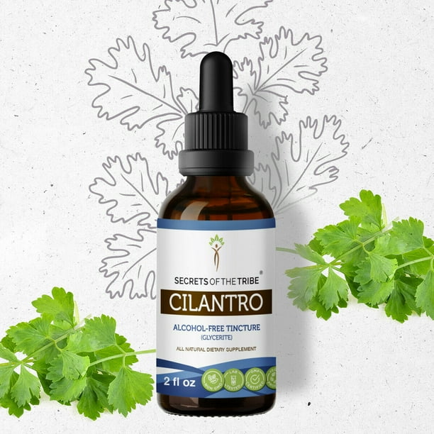 Cilantro Tincture AlcoholFREE Extract, Organic Cilantro (Coriandrum