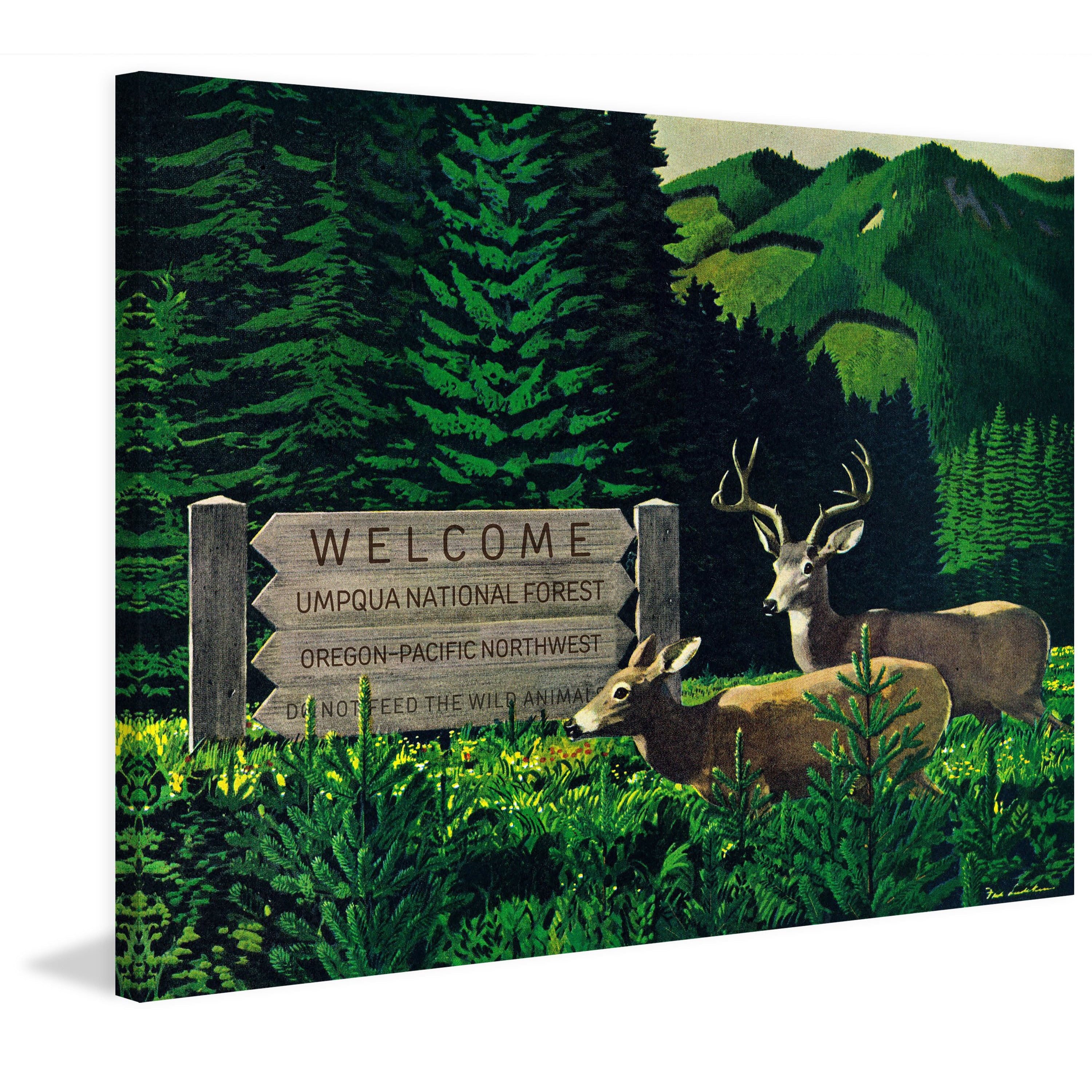 Marmont Hill - "Umpqua Natl Forest" Painting Print on Wrapped Canvas