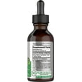 Ginkgo Biloba Liquid Extract | 2 fl oz for Men and Women | Vegetarian & Alcohol-Free | by Horbaach