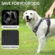 thumbnail image 3 of Arnés para perros HEELE, ajustable, sin tirones, acolchado para perros XL, 3 of 6