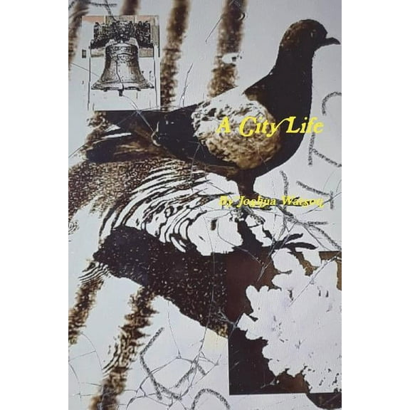 A City Life (Paperback)