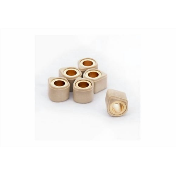 Dr. Pulley 15x12 Sliding Roller Weights 3 Gram