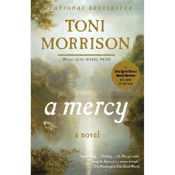 Pre-Owned A Mercy (Paperback) by Toni Morrison