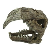 Komodo Saber Tooth Skull Decor for Aquarium or Reptile Tank, Polyresin, Aquarium Decor, Bone Color