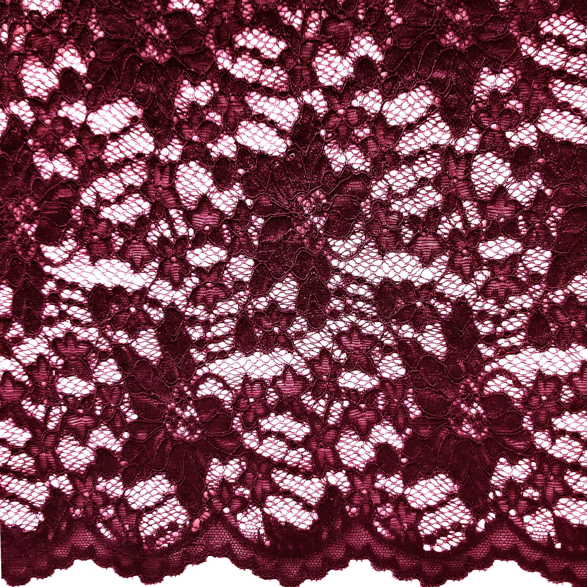 Marsala Burgundy Maroon Scalloped Eyelash Tulle Lace Fabric Floral Pattern 