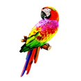 thumbnail image 1 of Figuras de loros artificiales de colores, estatua de bricolaje, accesorios para fotos, modelo de pájaro, , loro, guacamayo para jardinería, estilo B Baoblaze Estatua de loro, 1 of 7