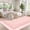 Pink, variant on GlowSol Washable Pink Area Rug 5x7 - Non Slip Boho Carpet, Machine Washable Living Room Bedroom Dining Mat