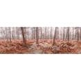 thumbnail image 3 of Frank, Assaf 14x7 Black Modern Framed Museum Art Print Titled - Autumn forest, 3 of 5