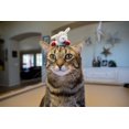thumbnail image 2 of Multipet Cat Toy Lamb Chop with Catnip 1 ea (Pack of 15), 2 of 2