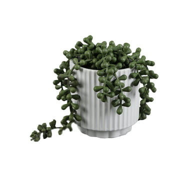 Mainstays 5.38” UV Protected Artificial String of Pearls in White Ceramic Pot Made for Tabletops – 1.4 lbs