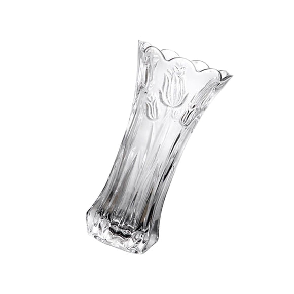 Xingzhi Glass Flower Vase Holder Flowerpot Bunch Planters for Home Decor tulip