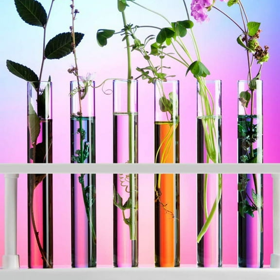 SEWCHICS 10Pcs Clear Tube Glass Test Tubes For Liquid Mixing Round Bottom Laboratory Use