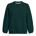 thumbnail image 4 of LIIPEE Womens Casual Solid Color Sweatshirts Autumn Cozy Long Sleeve Crew Neck Sweatshirt S-XXXL, 4 of 4