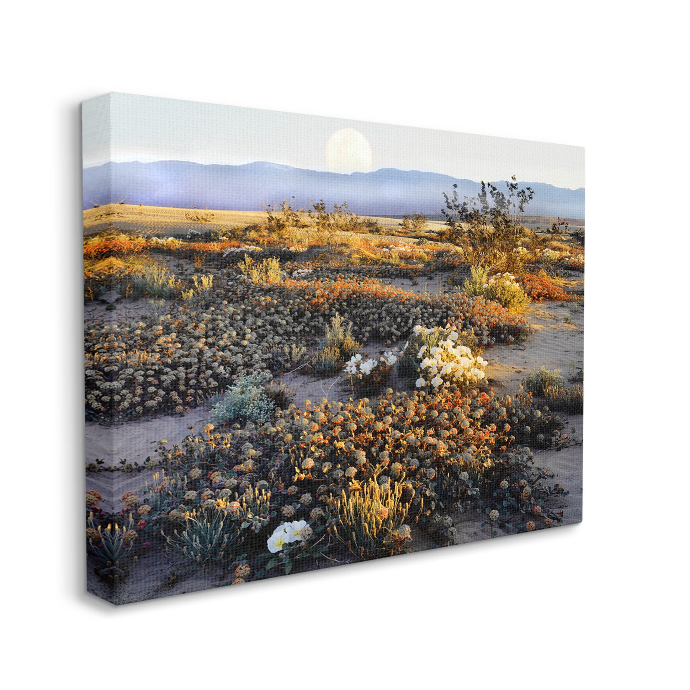 Mountain View Desert Vegetation Landscape Photograph Gallery Wrapped Canvas Print Wall Art