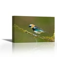 thumbnail image 1 of Golden-hooded Tanager, Costa Rica - Contemporary Fine Art Giclee on Canvas Gallery Wrap - wall décor - Art painting - 27 x 18 Inch - Ready to Hang, 1 of 2