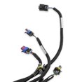 thumbnail image 3 of Holley EFI 558-133 Engine Main Harness LS1/6 (24X/1X) , Extended Length, 3 of 7