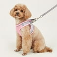 thumbnail image 2 of DABEI Reflective Mesh Pet Harness for Small and Medium Dogs - Comfortable and Safe with Reflective Strip, 2 of 14