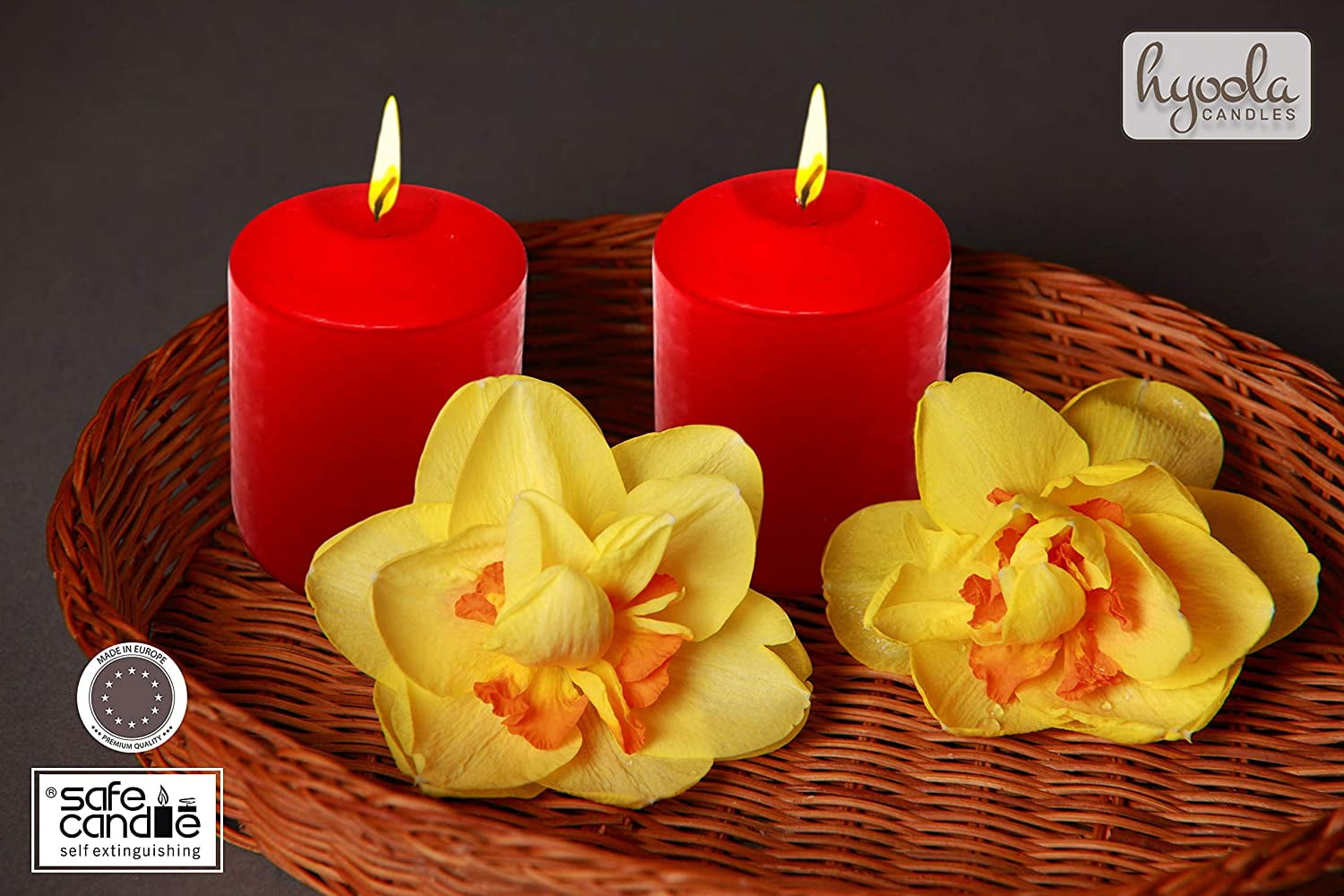 Hyoola 3 x 6 Red Unscented European Made Pillar Candles, Dripless Paraffin Wax with Smokeless Cotton Wicks, 12-Pack
