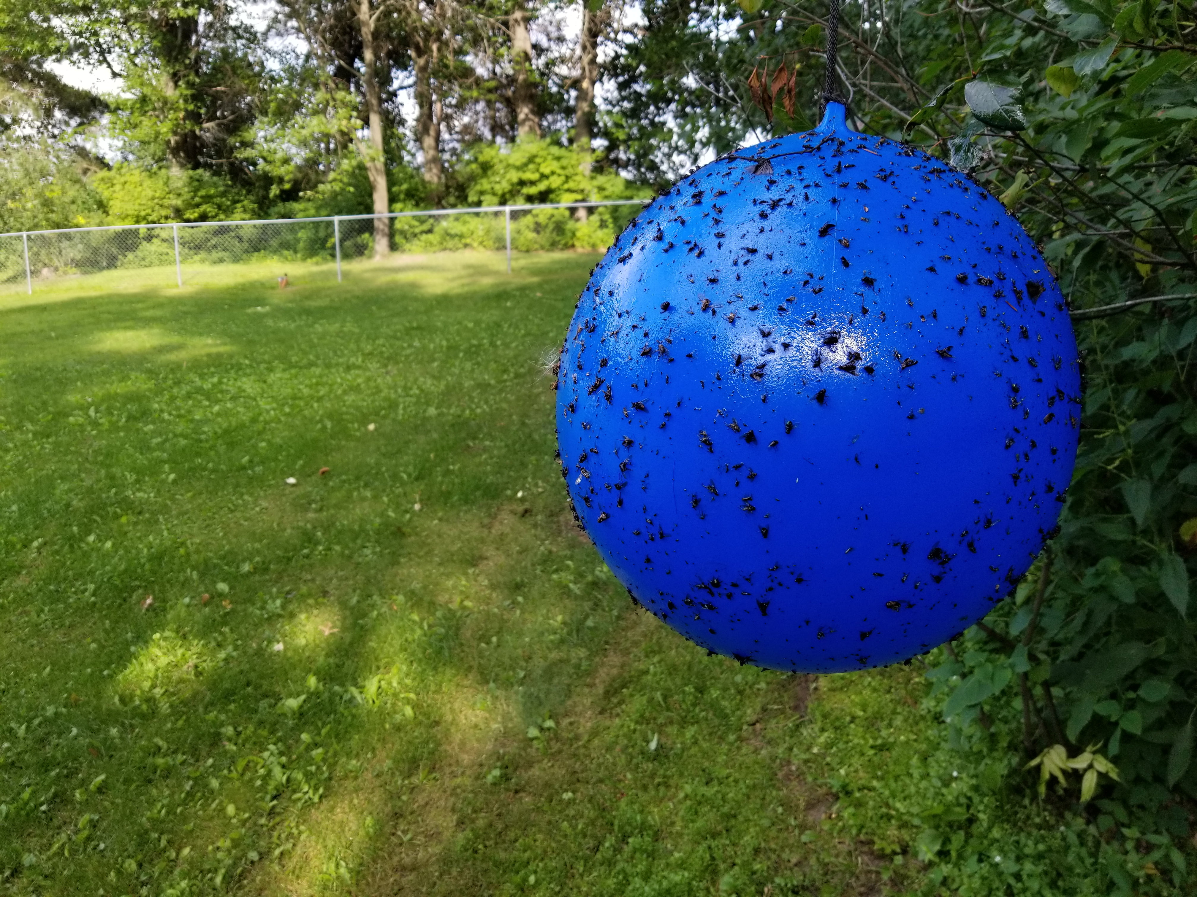 Bug Ball Deer Fly Ball Replacement Ball, 2 Pack