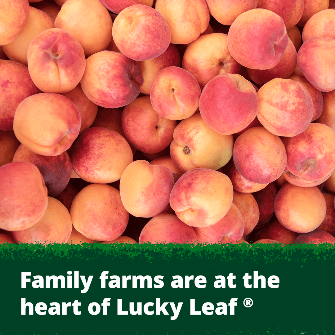 (4 pack) Lucky Leaf Premium Peach Fruit Filling & Topping, 21 oz