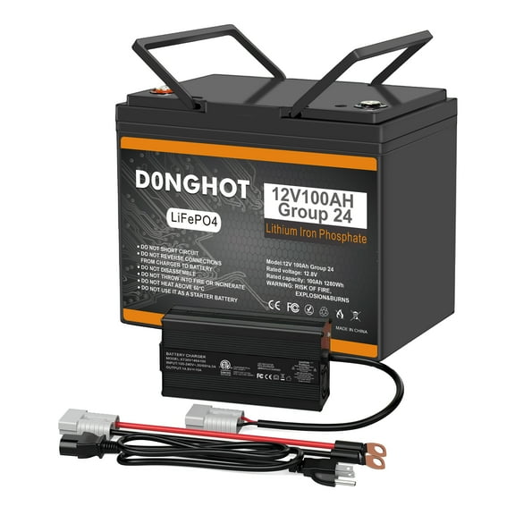 D0NGHOT 12V 100Ah Lithium LiFePo4 Battery with 14.6V 10Amp Smart AC to DC LiFePo4 Battery Charger
