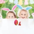 thumbnail image 4 of Easter Printing Mystery Rabbits Egg Fidget Toy, 4 of 7