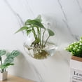 thumbnail image 6 of HONMEET 4-Pack Transparent Glass Wall for Indoor Plants, Modern Elegant Design, Easy to and Display, 6 of 8