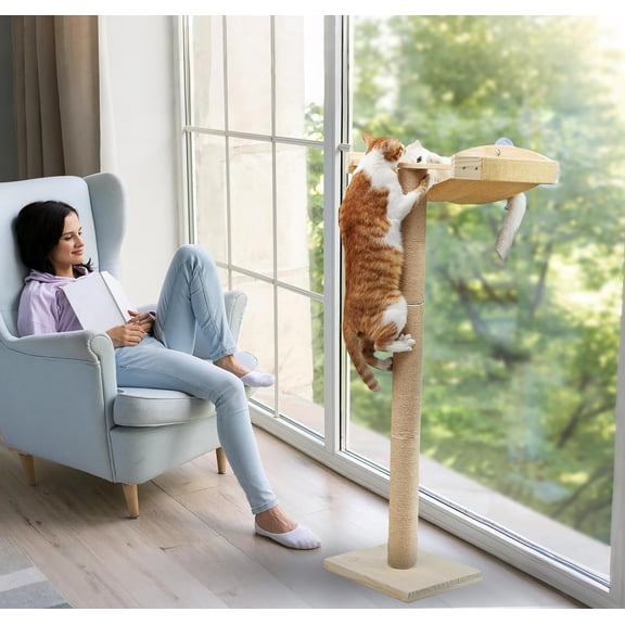 Cat Window Perch with Tall Scratching Posts, Inside 46" Climbing Tree Hammmock Mounted with Suction Cups for Sleeping,Playing and Watching Birds