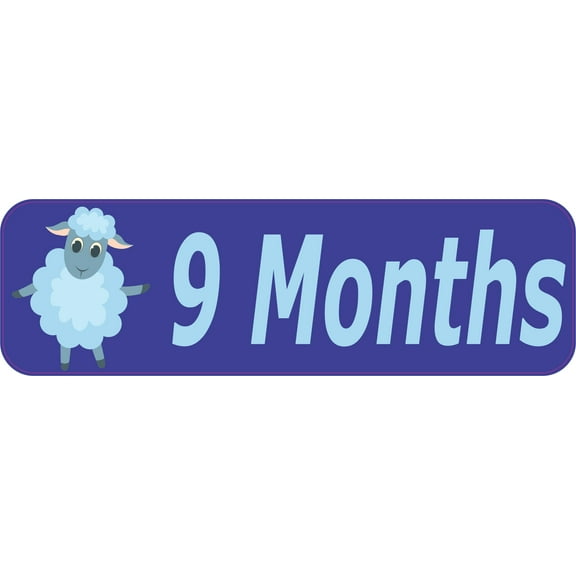 10in x 3in 9 Month Sticker Baby Boy First Year Vinyl Window Decal Stickers