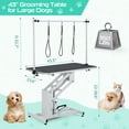 thumbnail image 2 of 43.3" Hydraulic Dog Grooming Table for Pet, Heavy Duty Structural Hydraulic Max Load 350Lbs Professional Pet Grooming Table with Adjustable Overhead Arm & Noose Height Range 22''-39'', 2 of 8