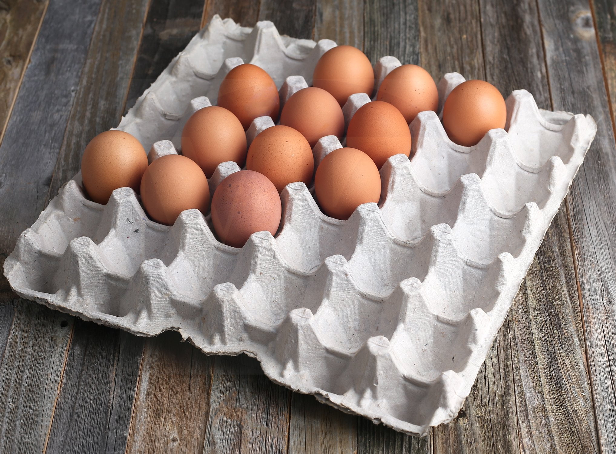 Pulp Fiber Egg Carton 30 Eggs, Large Egg Crate for Chicken Farm, Biodegradable Reble Egg Trays, Secure Storage for Duck Eggs, Made in , Gray