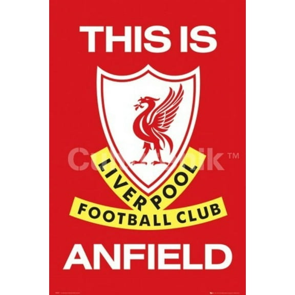 Liverpool This Is Anfield Poster Print (36 X 24)