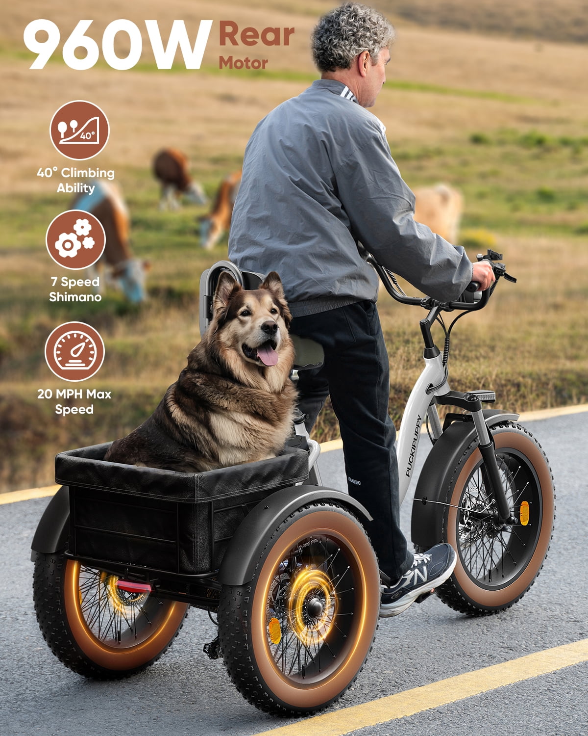 PUCKIPUPPY Electric Tricycle for Adults 960W Rear Motor 55Miles Range 20mph Max Speed 20" Fat Tire Electric Trike 3 Wheel Electric Bike 48V 15AH Battery E-Mountain Bike, Comply with UL2849 By SGS