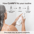 thumbnail image 6 of Maison 276 CLARIFY Pre-Shampoo for Grey & Silver Hair – Removes Buildup, Restores Clarity & Shine, No Purple Dyes, Plant-Based Weekly Reset, 8 oz, 6 of 13