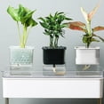 thumbnail image 2 of Automatic Water-absorbing Flowerpot Potted Hydroponic Plant Flower Pot Home Indoor Breeding Planter, 2 of 8