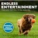 thumbnail image 4 of Juguete para Perro Outward Hound Squeaker Ballz Fetch Grande Pack de 4, 4 of 6