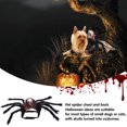 thumbnail image 4 of Disfraz de araña de Halloween para perros, disfraz de Halloween para mascotas, disfraz de araña para perros y gatos, disfraz de Halloween para perros y gatos, decoración de Halloween (, 4 of 5