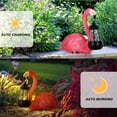 thumbnail image 4 of Zenco Loving Flamingo Garden Statue with Solar Lantern, for Patio and Lawn, 4 of 8