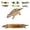 Brown, variant on SHJHENG Dinosaur Corn Cob Holders 4 Pack Funny Corn On The Cob Skewers Ankylosaurus Stegosaurus Parasaurolophus Corn Forks For BBQ Picnic