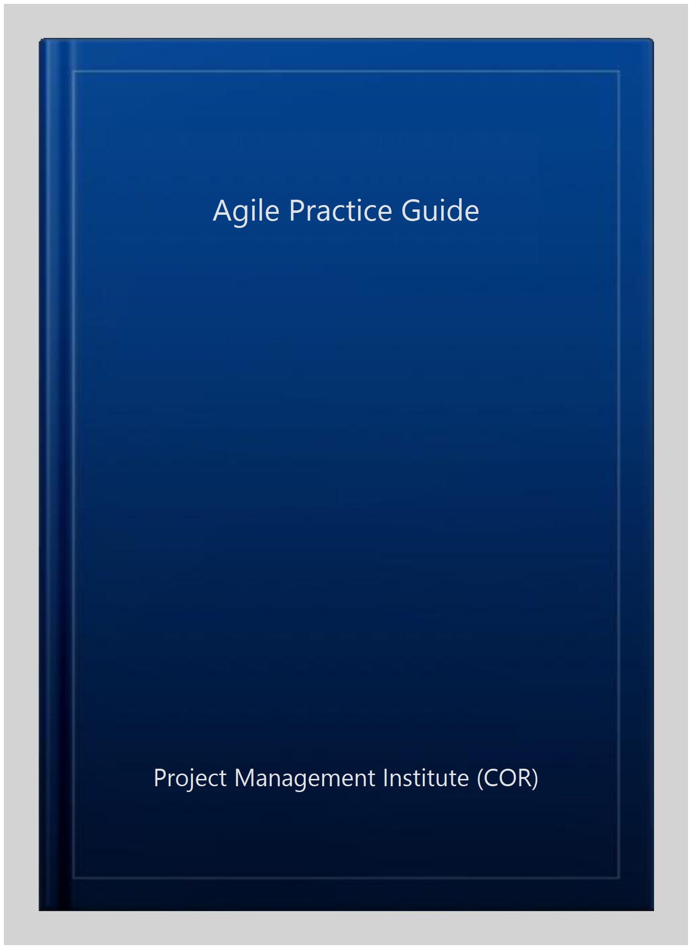  Agile Practice Guide: 9781628251999: Project