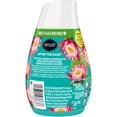 Renuzit Simply Refreshed Collection Gel Air Freshener, After The Rain 7